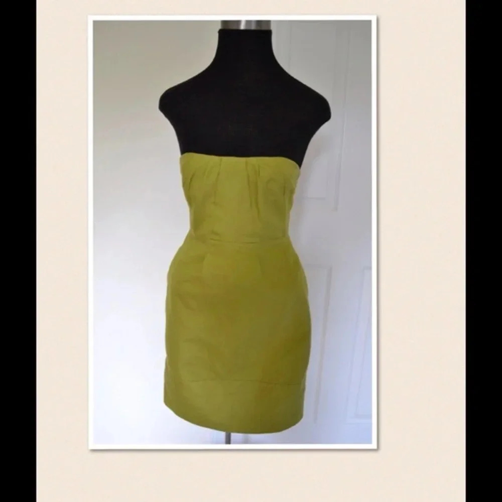 NWOT J. Crew dress